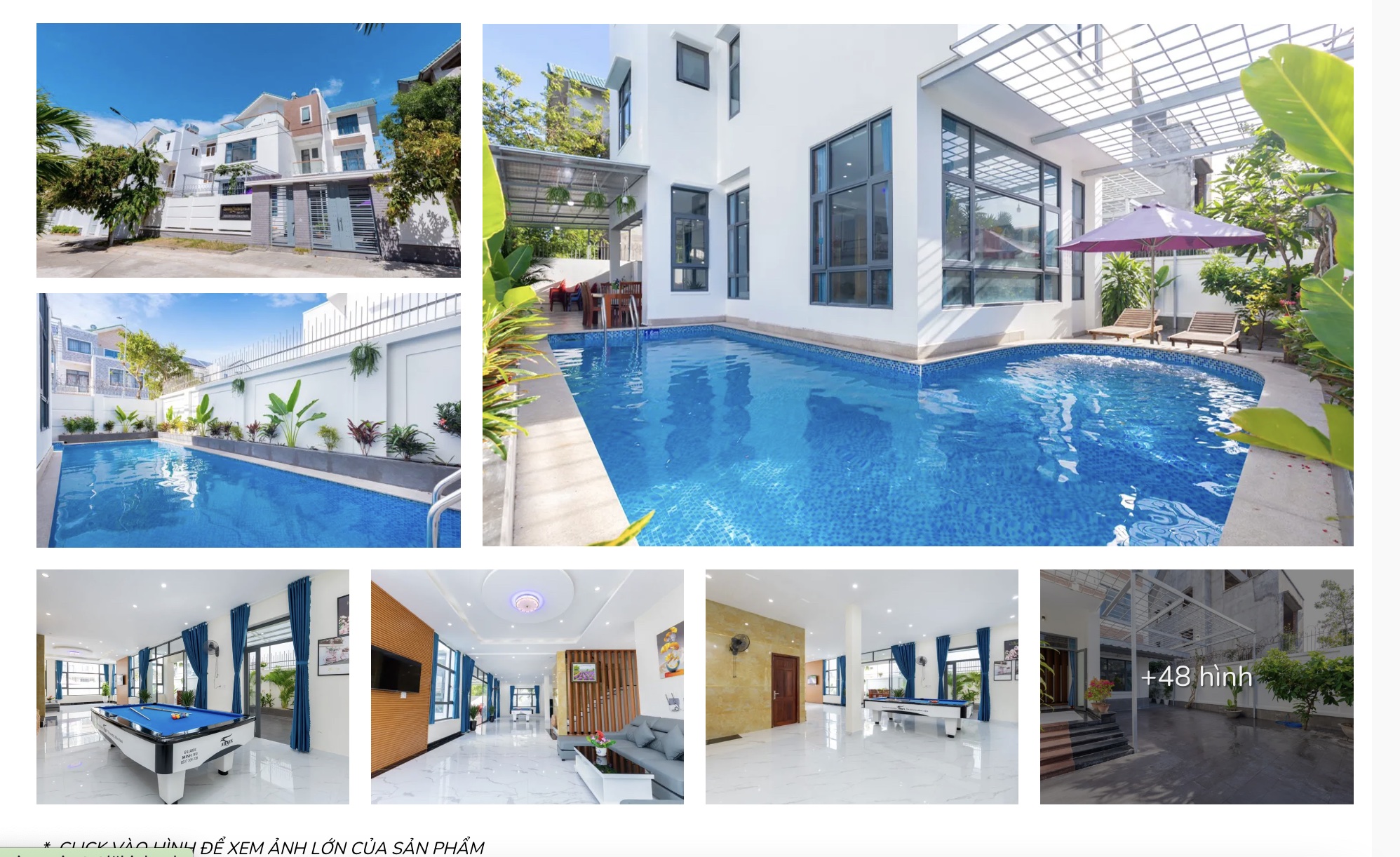 villa vung tau cho 40 nguoi 